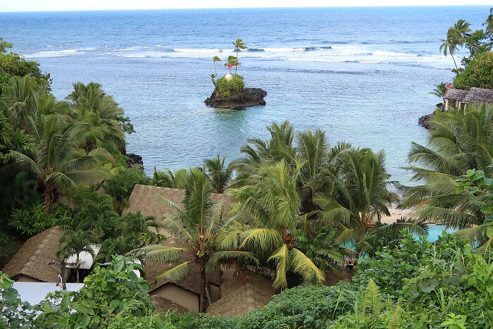 Tropical landscape in the Pacific Islands with dense palm trees and ocean views linked to dengue fever climate health risks.