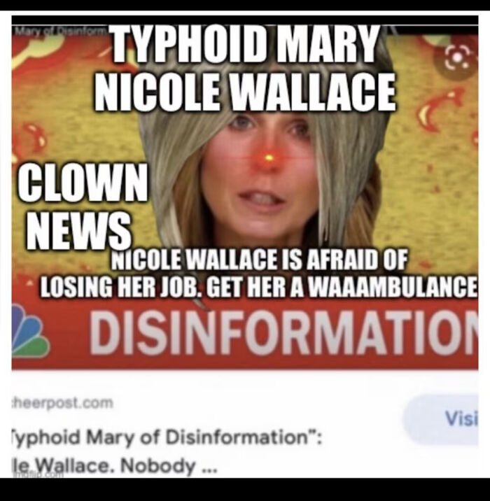 Image of MSNBC host Nicole Wallace with text calling her Typhoid Mary and clown news during Trump social media meltdown.