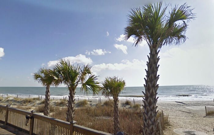 Coastal beach scene with palm trees and ocean waves under a bright blue sky on a sunny day.