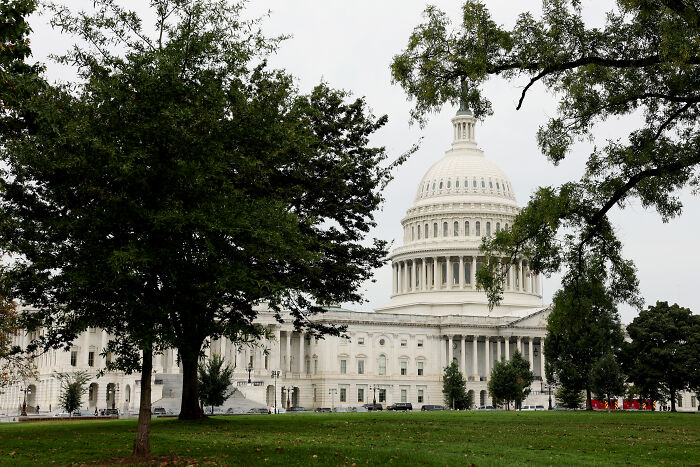 United States Capitol building framed by trees on a cloudy day, related to QAnon Shaman lawsuit against Trump.