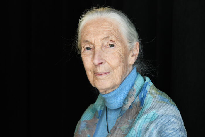 Jane Goodall wearing a blue turtleneck and patterned shawl, posing against a black background in a calm setting.