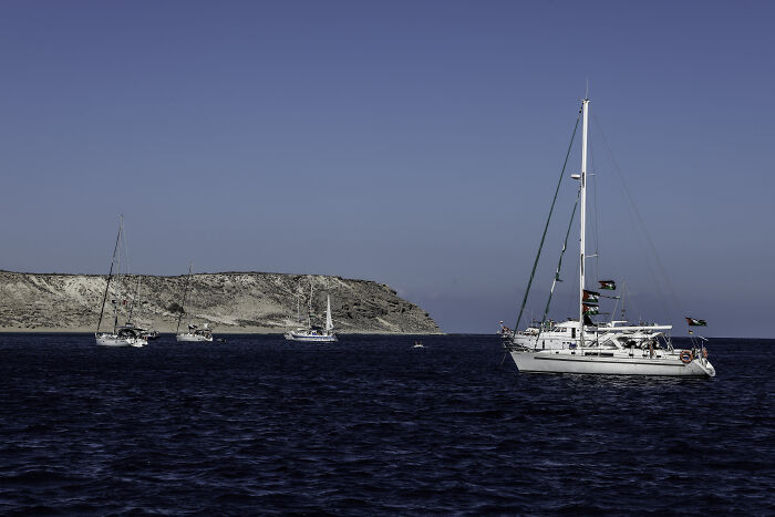 Gaza-bound flotilla sailing near coastline with multiple boats flying flags on calm open sea under clear sky.