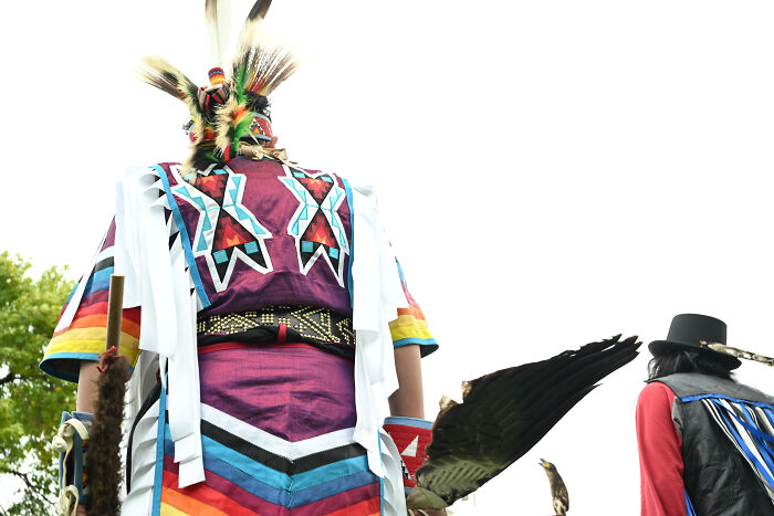 Native American Hopi dancer in traditional regalia with feathers, symbolizing ancient Hopi prophecy and red cap figure themes.
