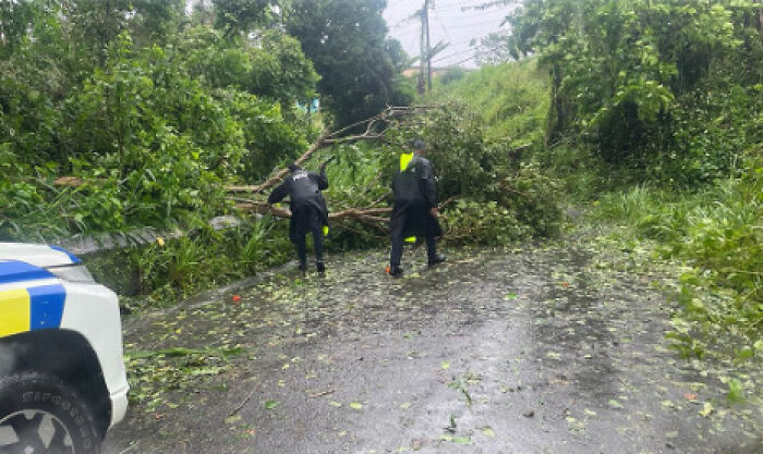 Two people clearing fallen tree branches blocking a wet road after Hurricane Melissa devastation in Jamaica.