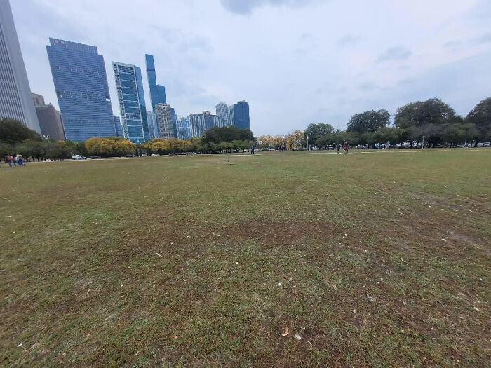 Empty urban park with grass and trees under cloudy sky, highlighting difference between Trump rally mess and No Kings protests.