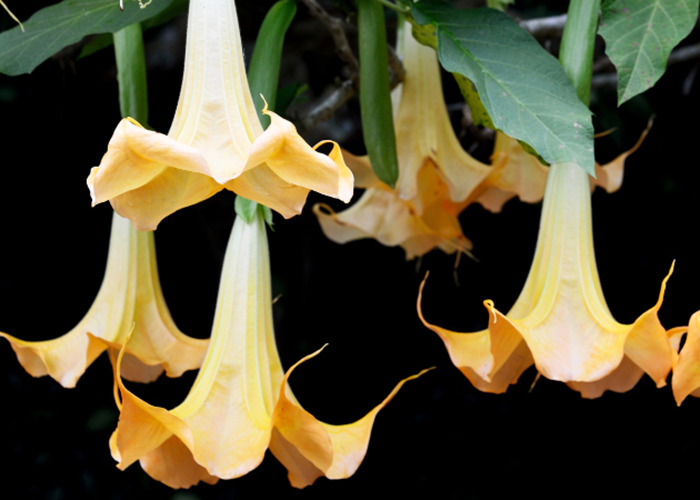 EXCLUSIVE: Survivor Speaks Out About Bogot&aacute;&rsquo;s &lsquo;Monster Of Grindr&rsquo; And His Reign Of Fear