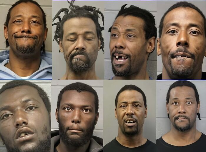 Mugshots of repeat offender with 72 arrests linked to Chicago woman Bethany MaGee set ablaze on train incident