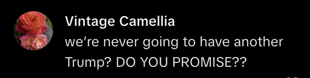 Steve Bannon speaking passionately during a televised interview about Republicans and potential jail risks after midterms.