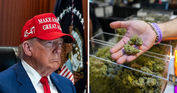 People Show Zero Pity For Trumpster Who Says The Government Crushed His Family’s Source Of Income