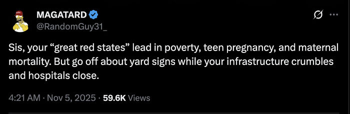 Tweet criticizing great red states for poverty and infrastructure issues, highlighting social media roasts of Tomi Lahren&rsquo;s warning.