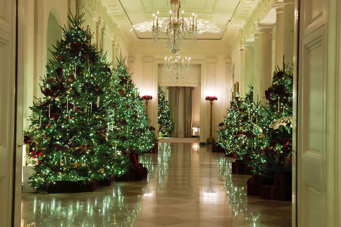 Luxurious Christmas decorations with multiple illuminated trees lining an elegant hallway for 2025 Melania Trump celebration.