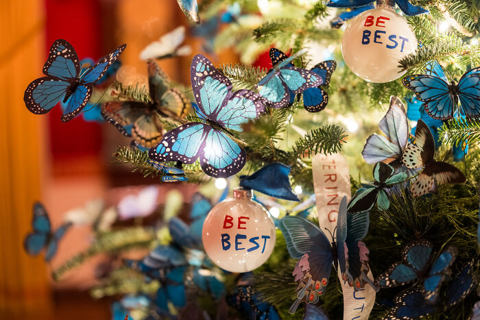 Christmas decorations featuring blue butterflies and ornaments on a tree, highlighting Melania Trump&rsquo;s 2025 holiday style.