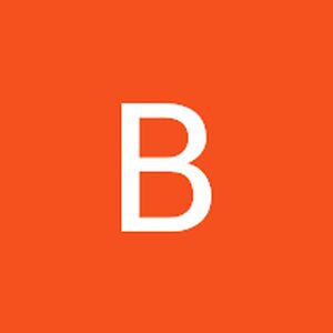 boudewijnvandermik avatar